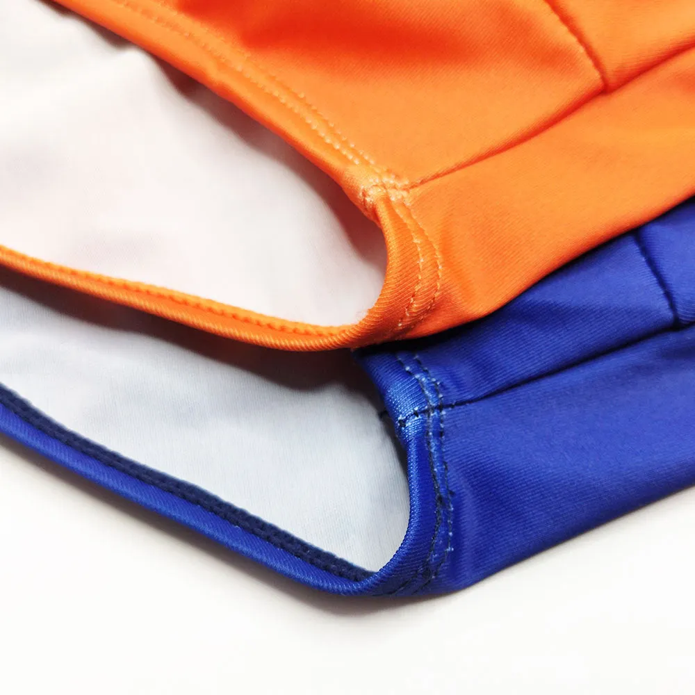 Men's Striped Swim Briefs